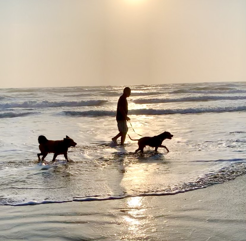 Alex walking dogs along the beach